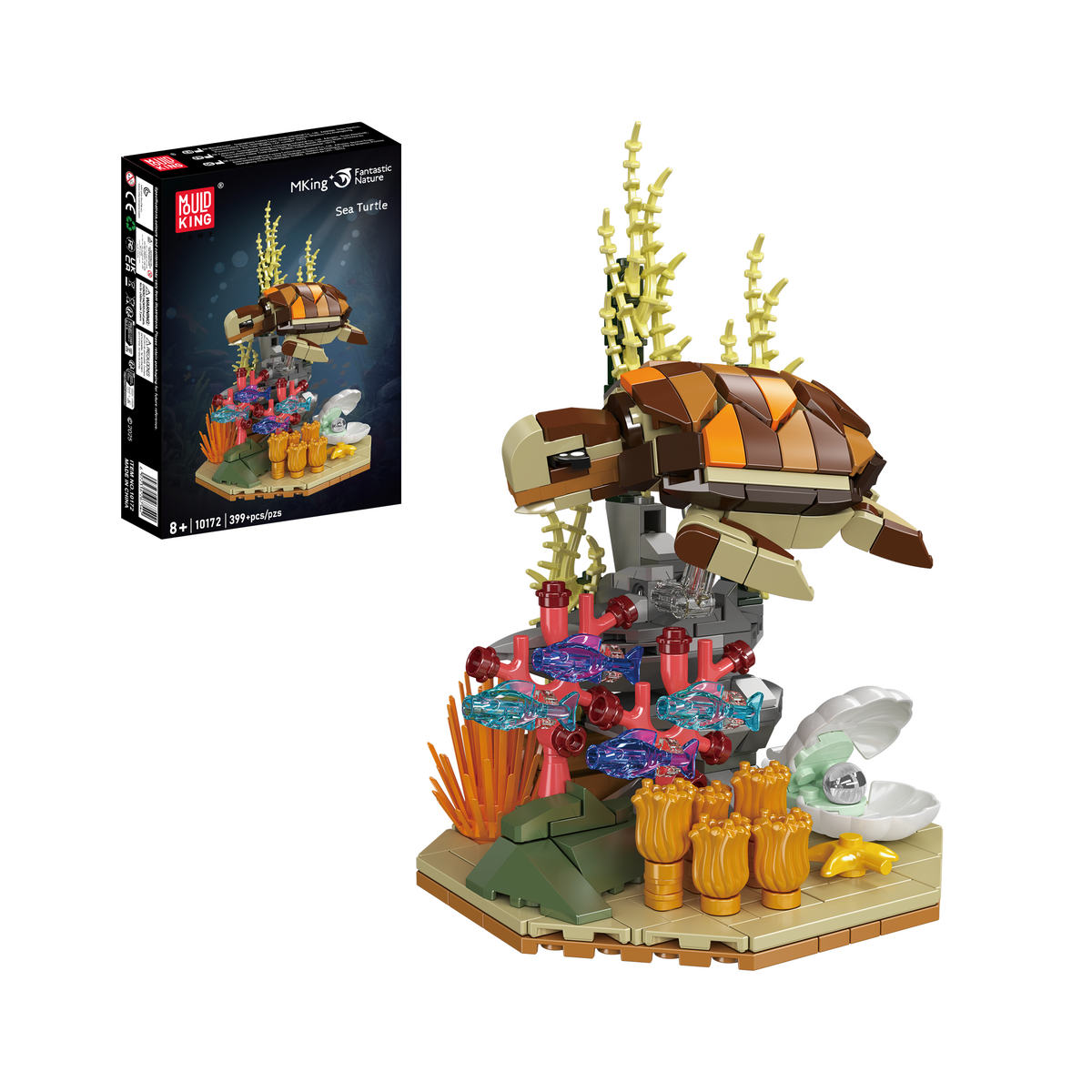 Tortue de mer et récif, vue principale
