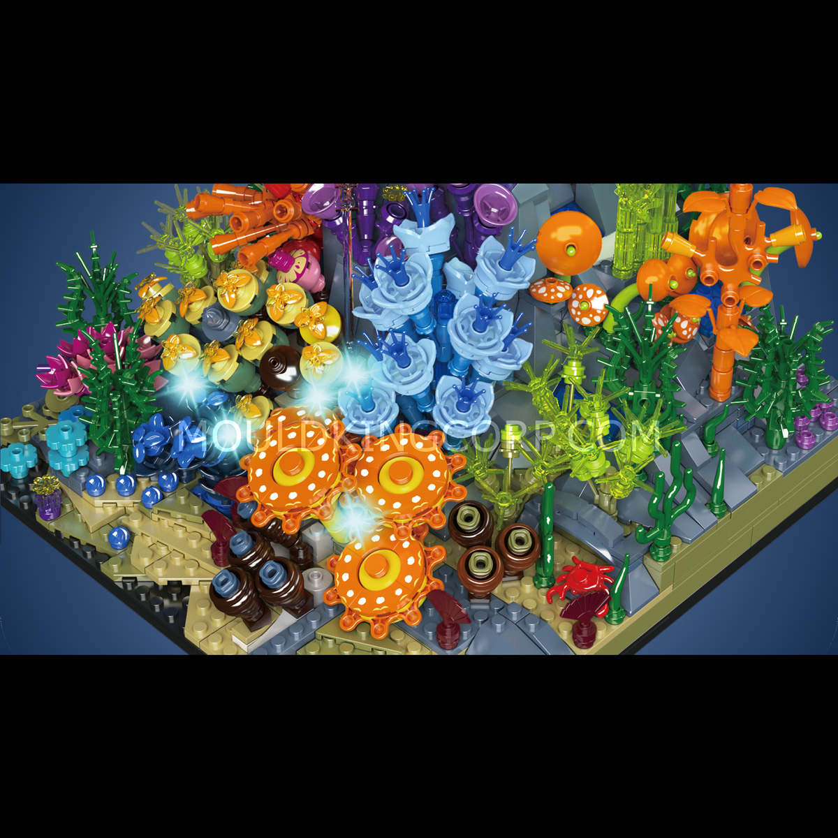 Aquarium récif, vue 3