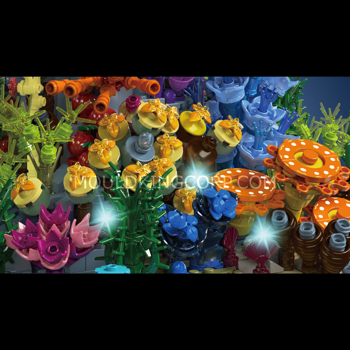 Aquarium récif, vue 4