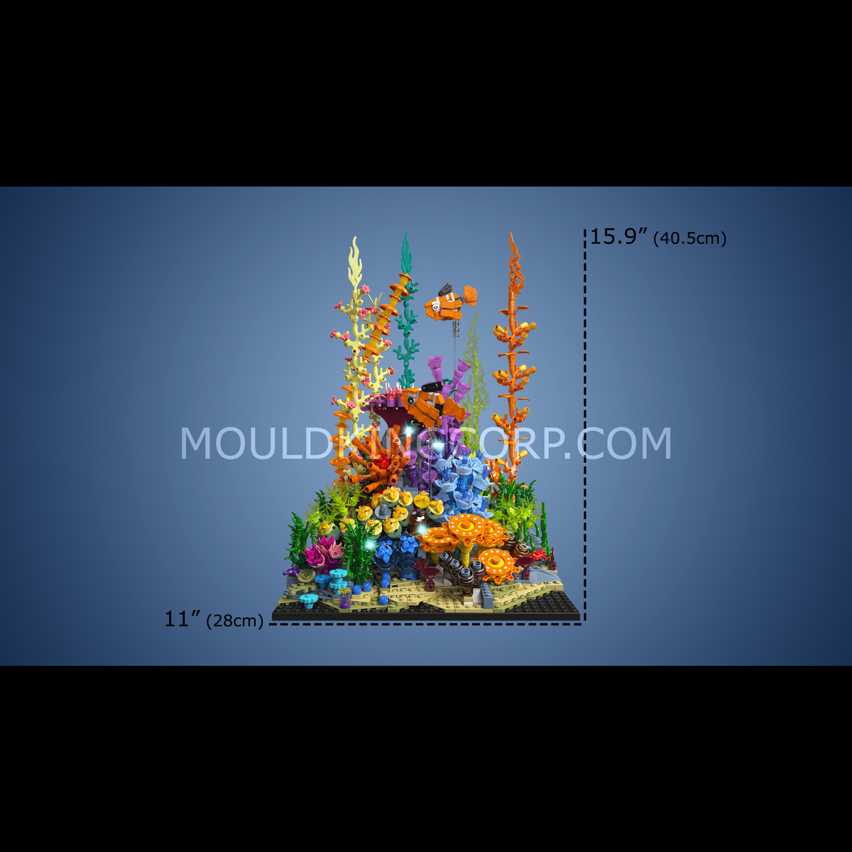 Aquarium récif, vue 6