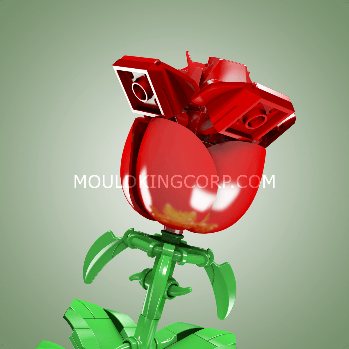 Rose rouge, vue 2