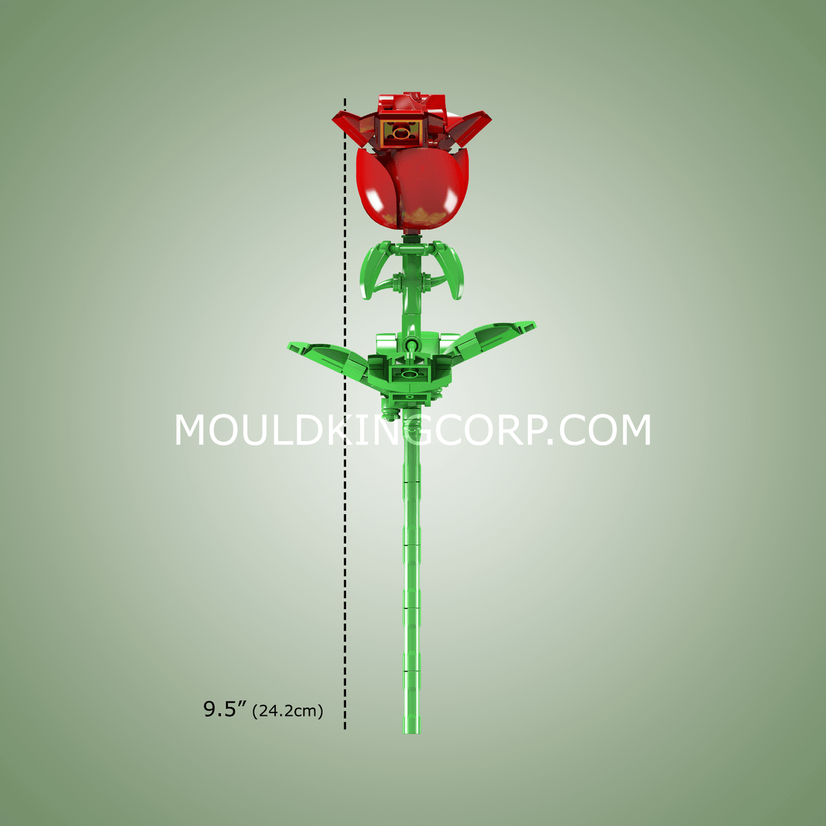 Rose rouge, vue 4