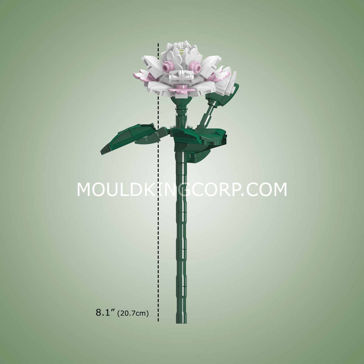 Fleur de camélia, vue 4