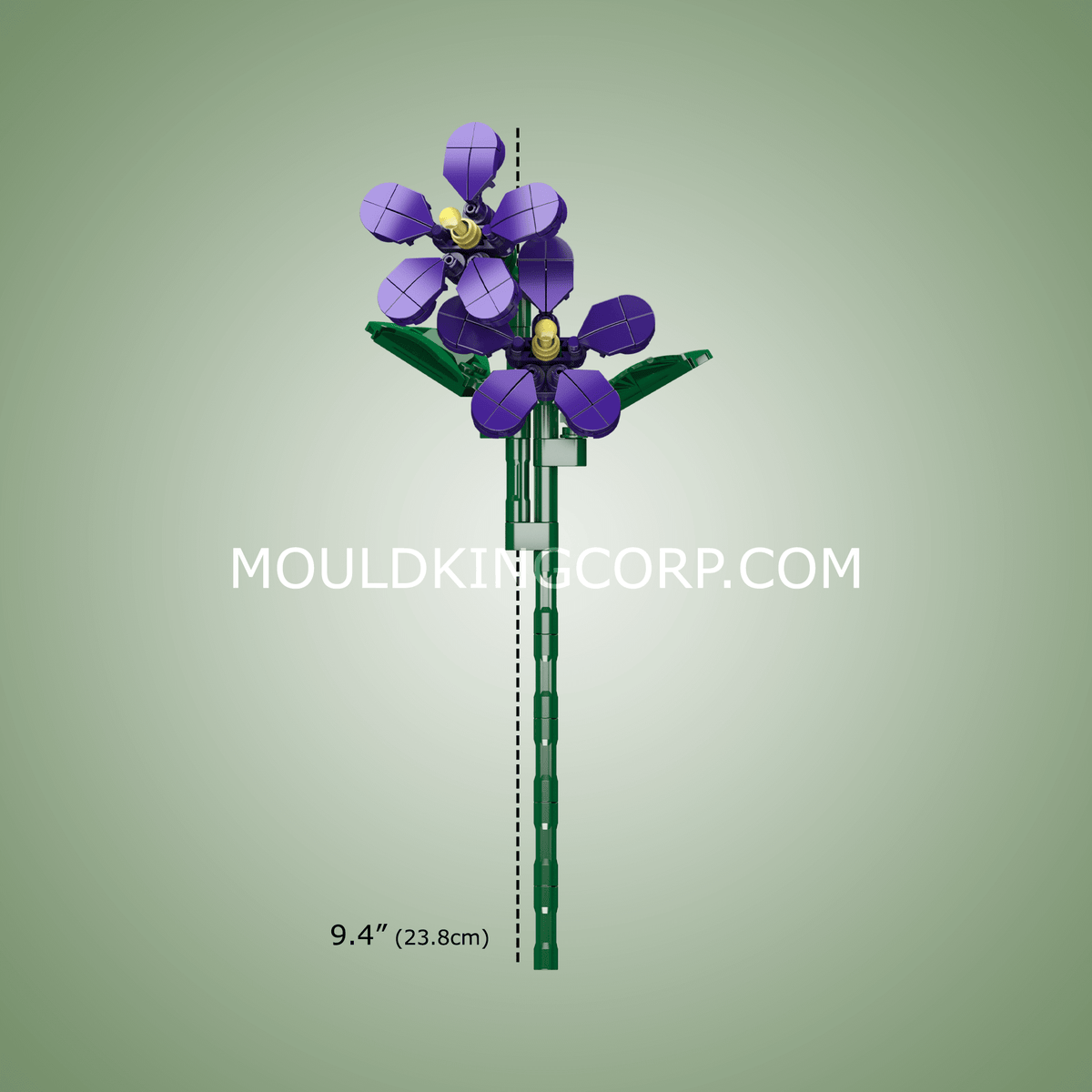 Fleur de violette, vue 4
