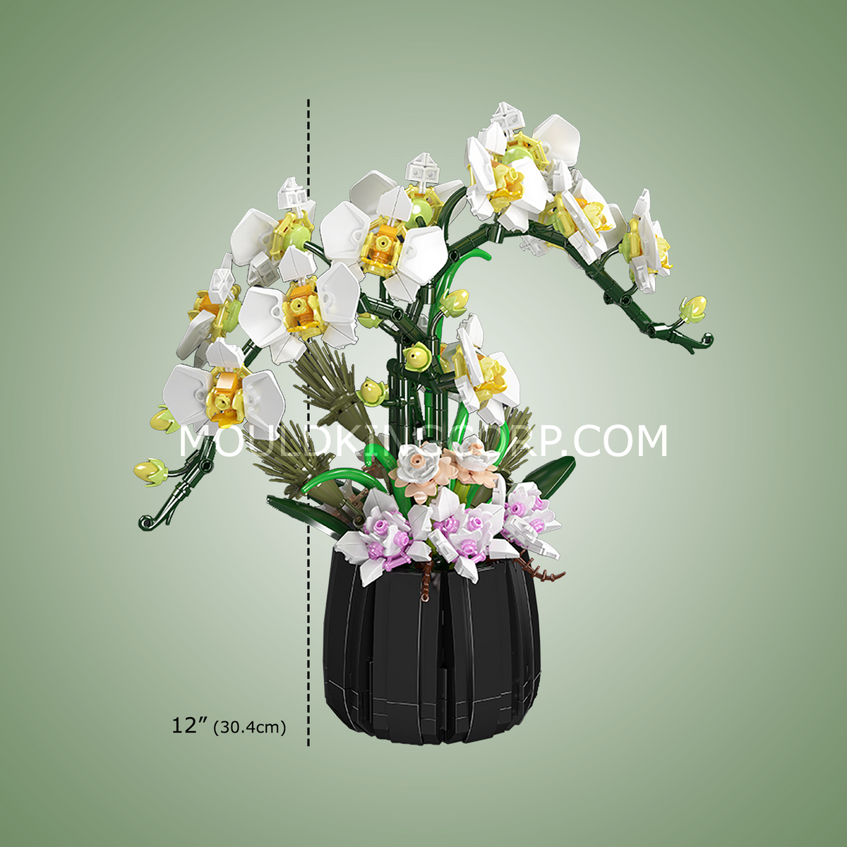 Orchidées, vue 6