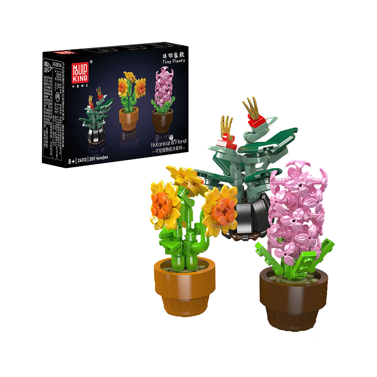 Trio de mini fleurs en pot, vue principale