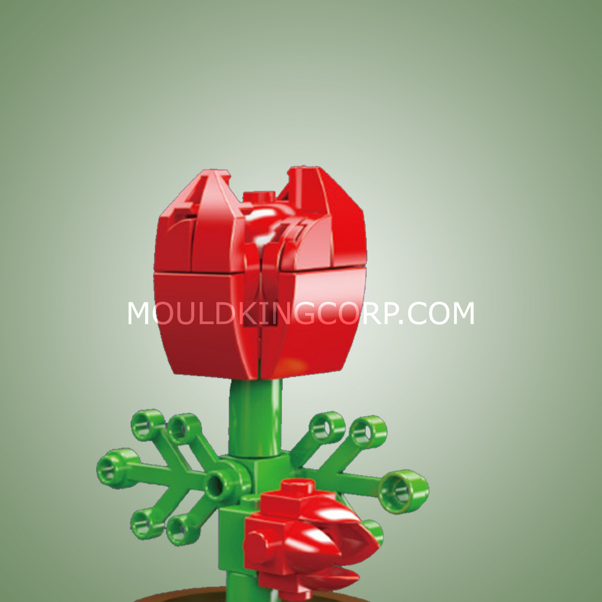 Trio de mini plantes, vue 2