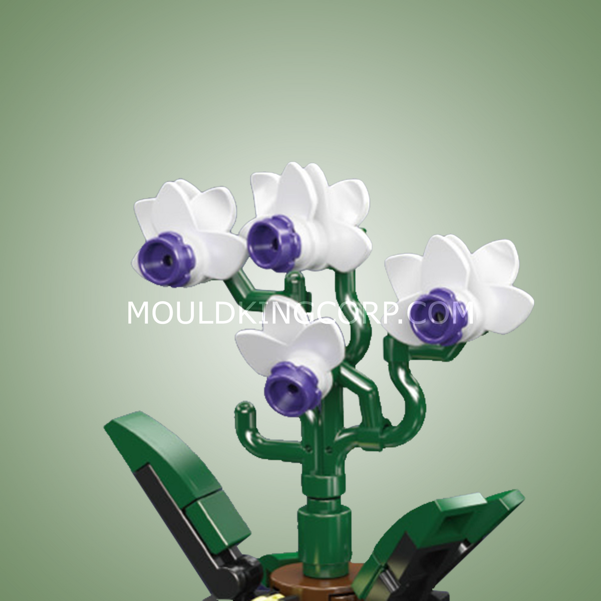 Trio de mini plantes, vue 4