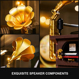 Gramophone, vue 5