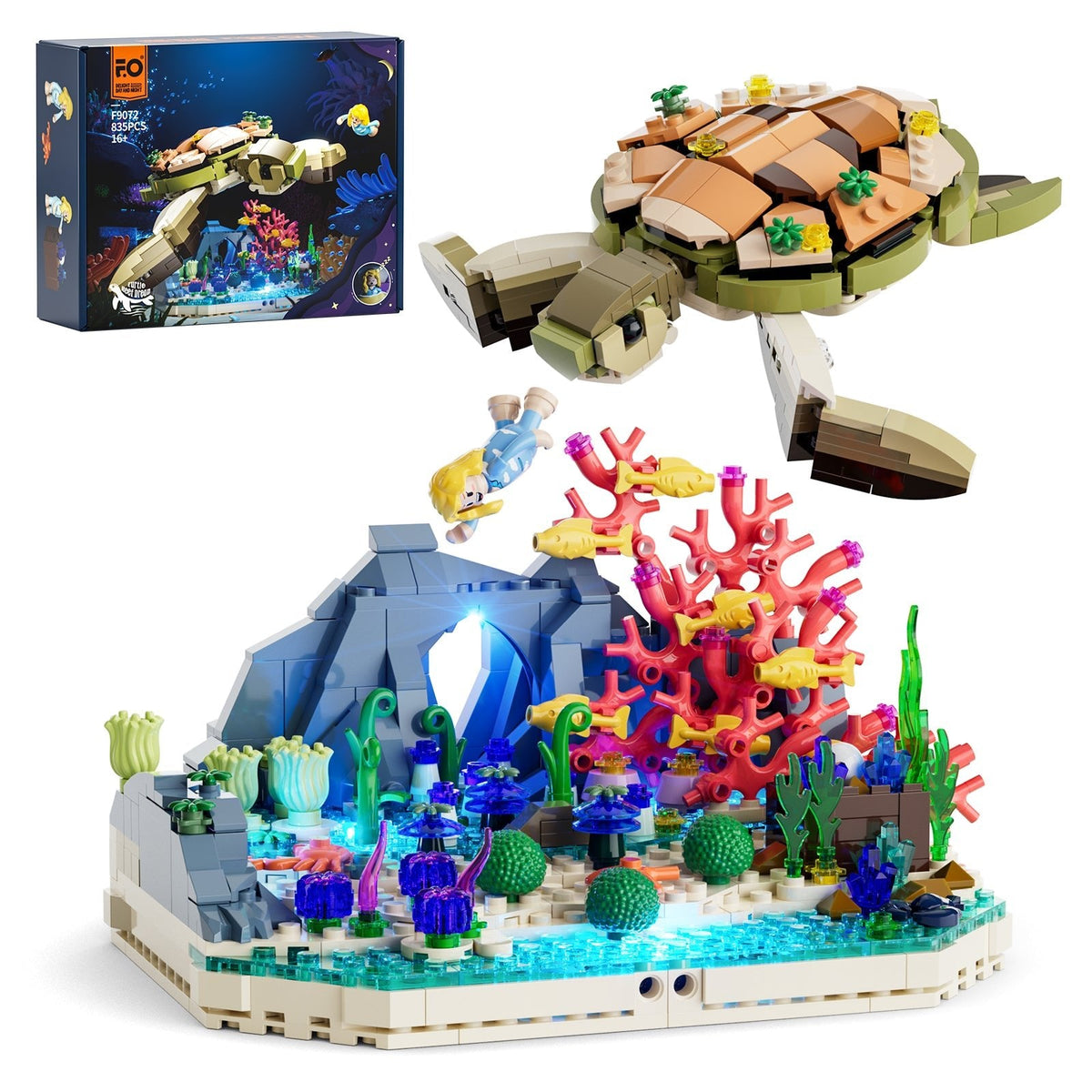 Récif et tortue, vue 3