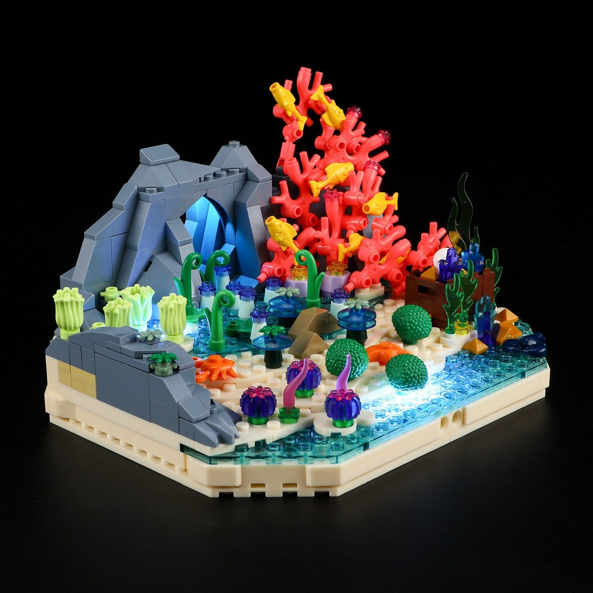 Récif et tortue, vue 2