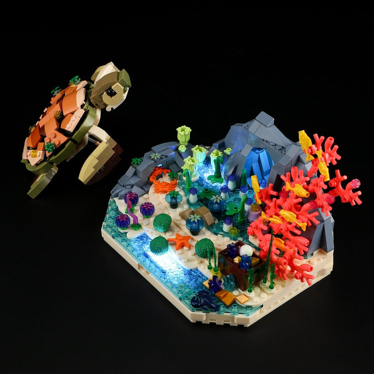 Rêve de récif et tortue de mer, avec lumières, vue principale