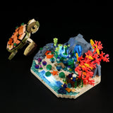 Rêve de récif et tortue de mer, avec lumières, vue principale