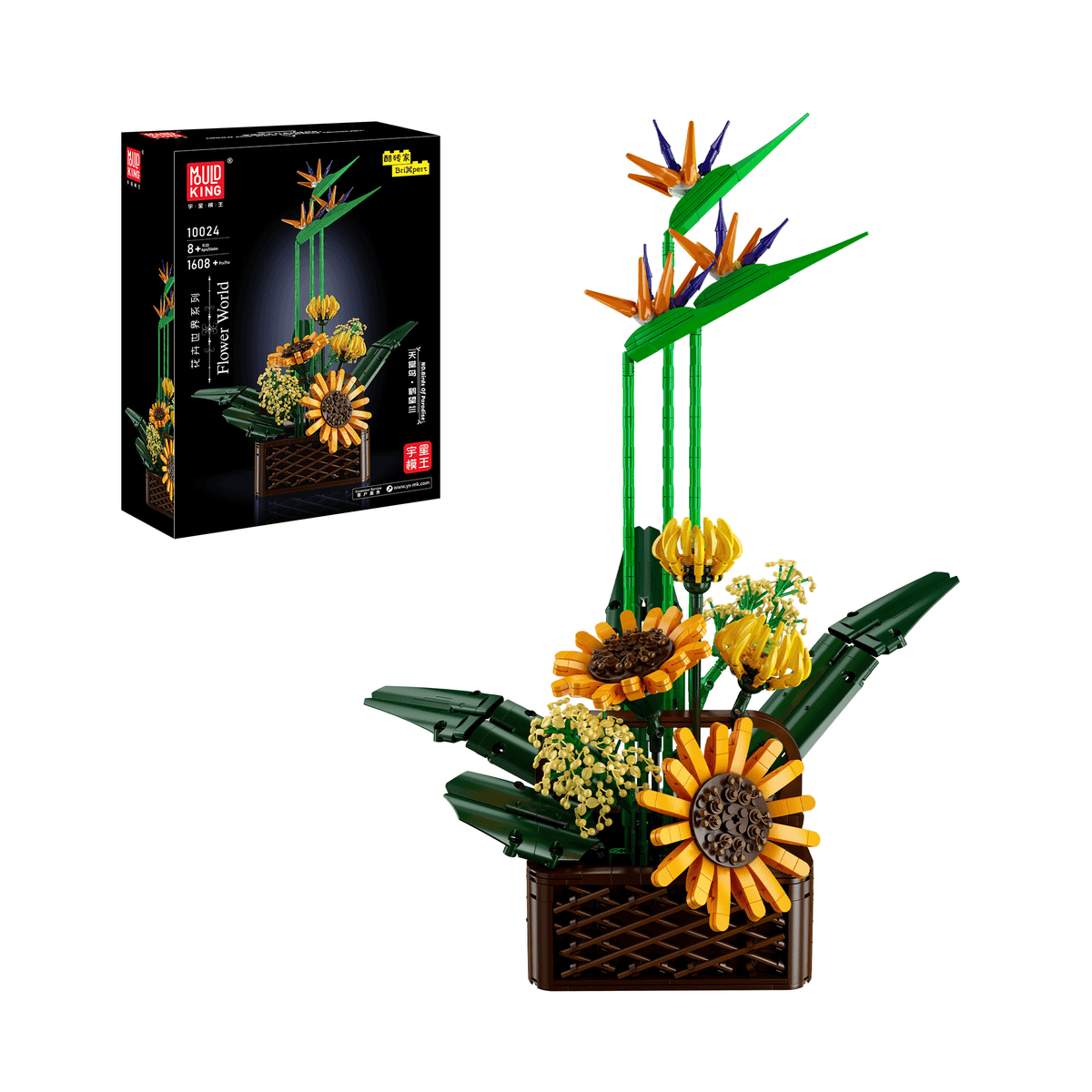 Bouquet d'oiseaux de paradis, vue principale