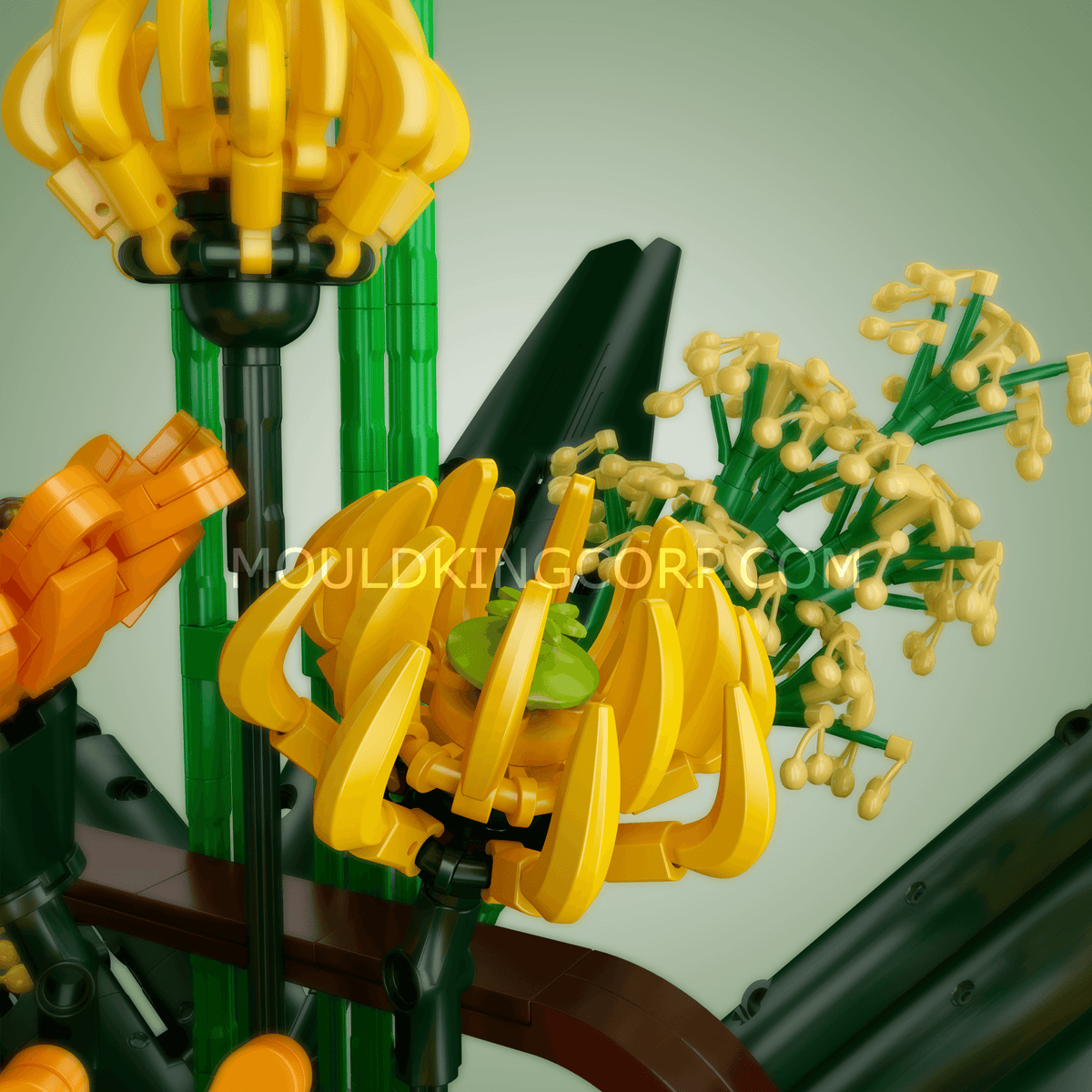 Bouquet d'oiseaux de paradis, vue 3