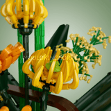 Bouquet d'oiseaux de paradis, vue 3