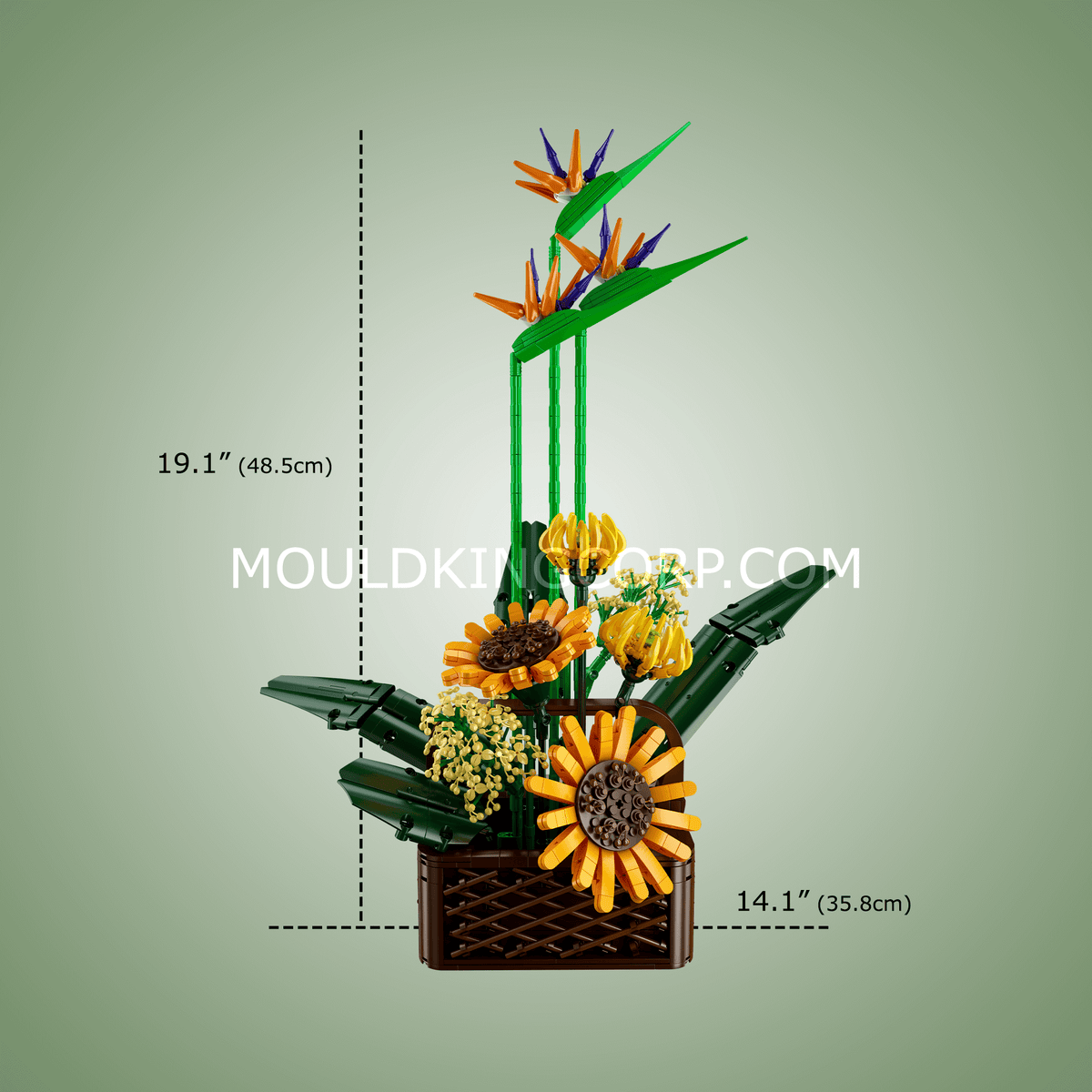 Bouquet d'oiseaux de paradis, vue 5