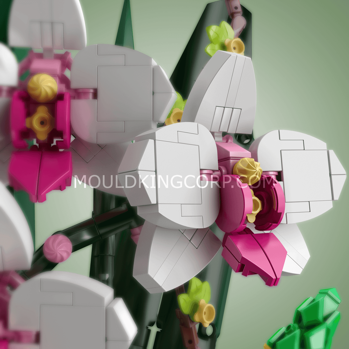 Bouquet de fleurs-papillons, vue 2