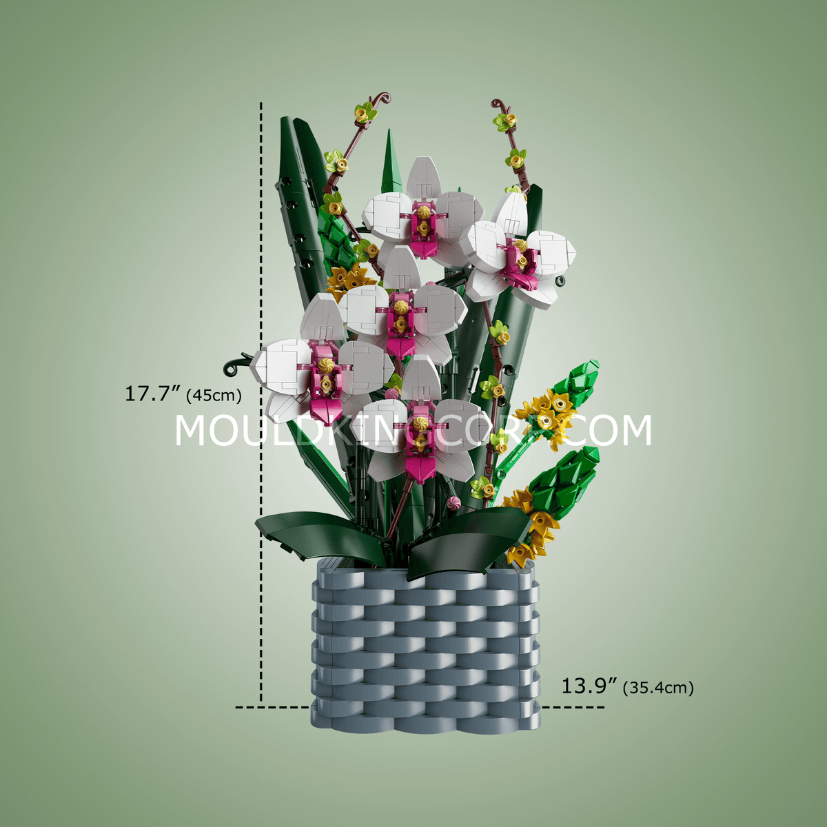 Bouquet de fleurs-papillons, vue 5