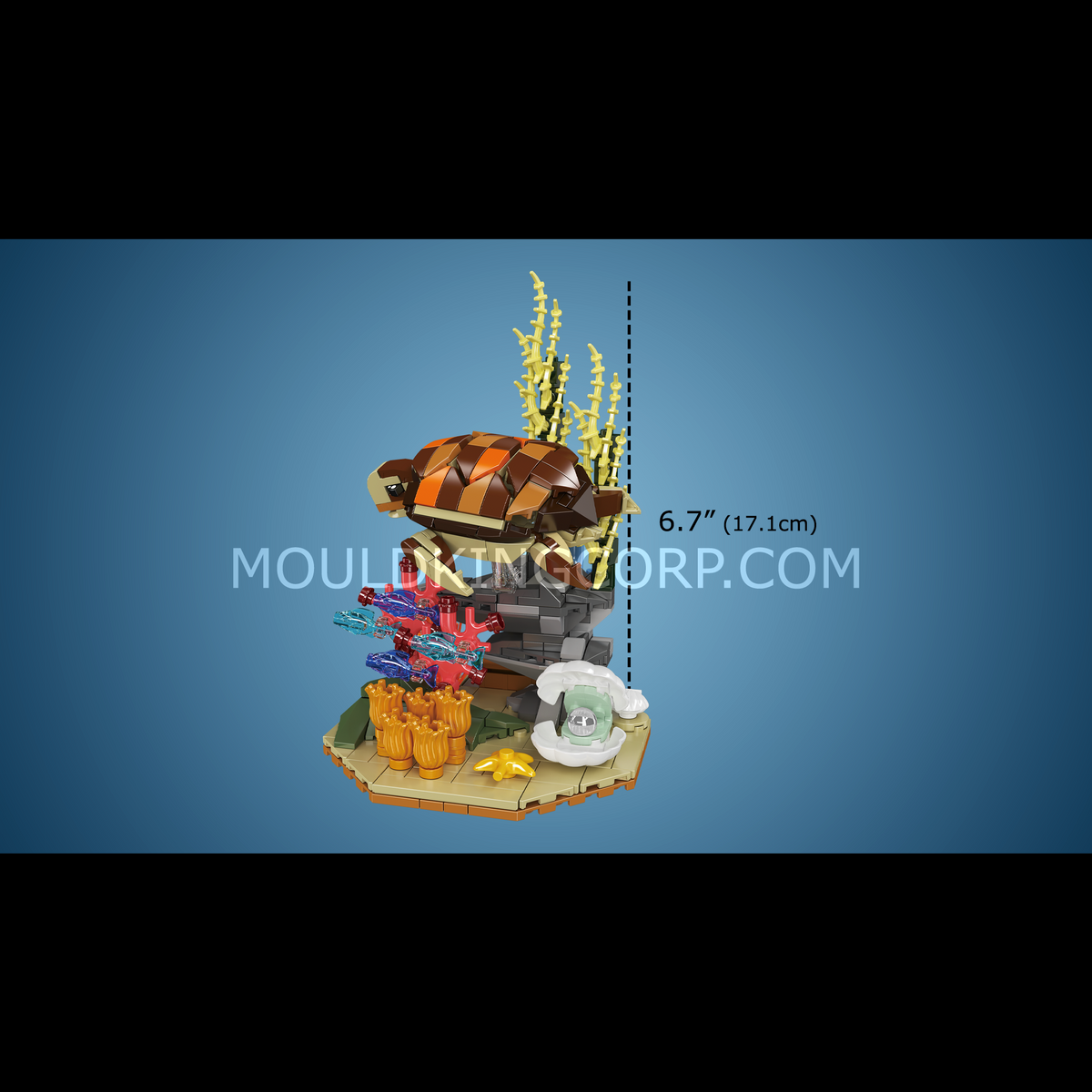 Tortue de mer et récif, vue 4