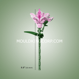 Fleur de rhododendron, vue 4