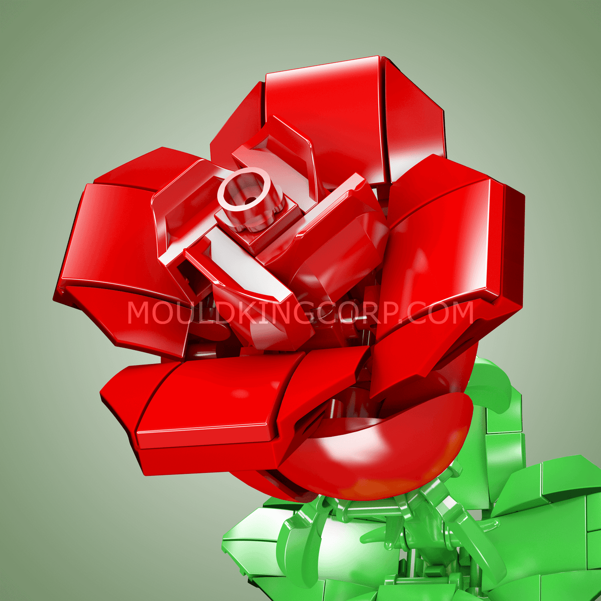 Rose rouge, vue 3