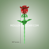 Rose rouge, vue 4