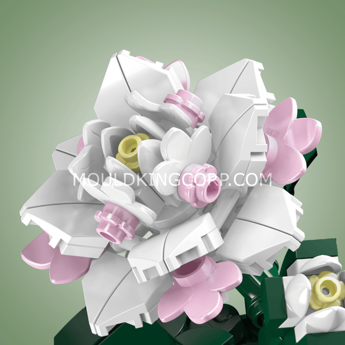 Fleur de camélia, vue 3