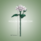 Fleur de camélia, vue 4
