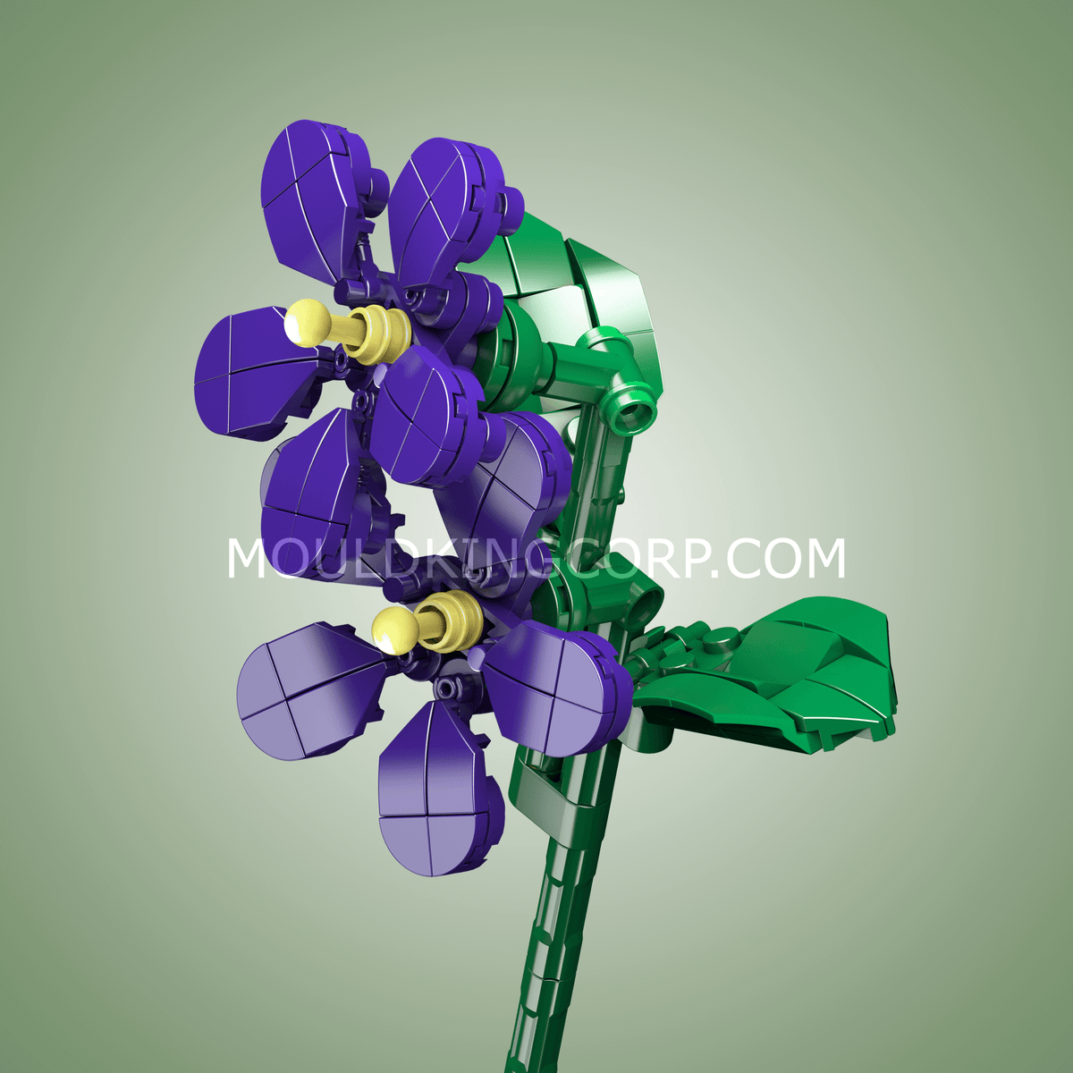 Fleur de violette, vue 2