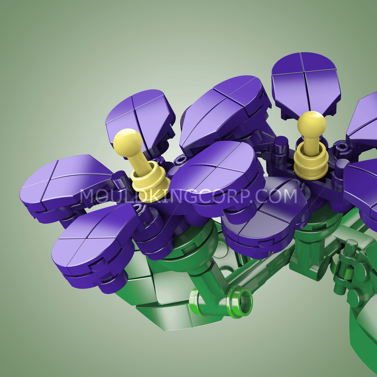 Fleur de violette, vue 3