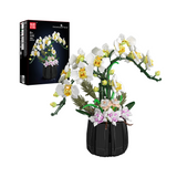 Orchidées en coupe laquée noire, vue principale