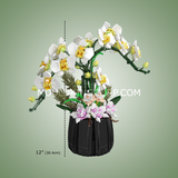 Orchidées, vue 6