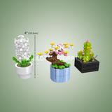 Trio de mini plantes, vue 5