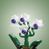 Trio de mini plantes, vue 4