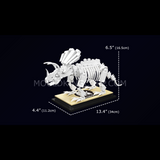 Squelette de tricératops sur socle, vue 5